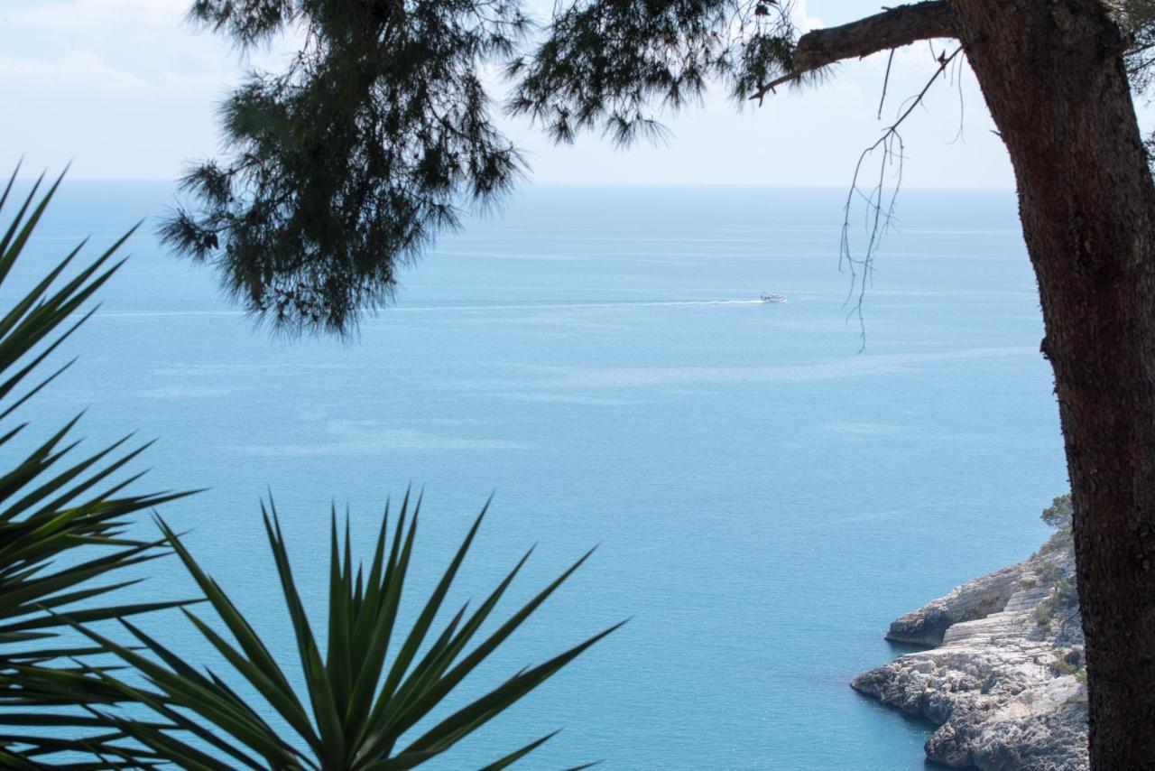 Nsm Carlotta & Guarda Che Mare Con Piscine Vista Mare Villa Pugnochiuso