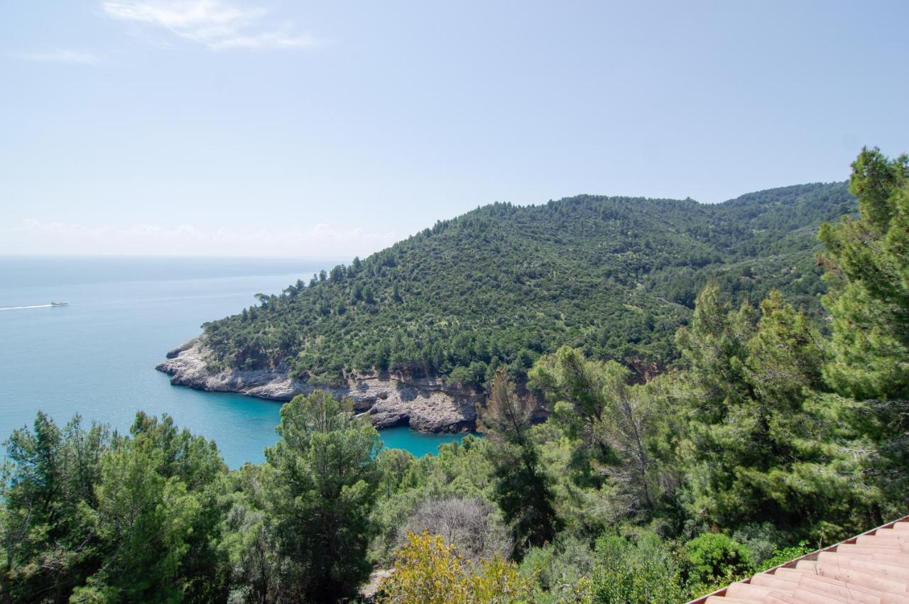 Nsm Carlotta & Guarda Che Mare Con Piscine Vista Mare Villa Pugnochiuso