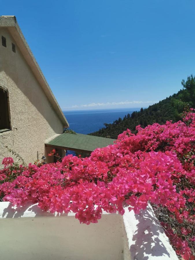 Villa Nsm Carlotta E Guarda Che Mare Con Vista Panoramica