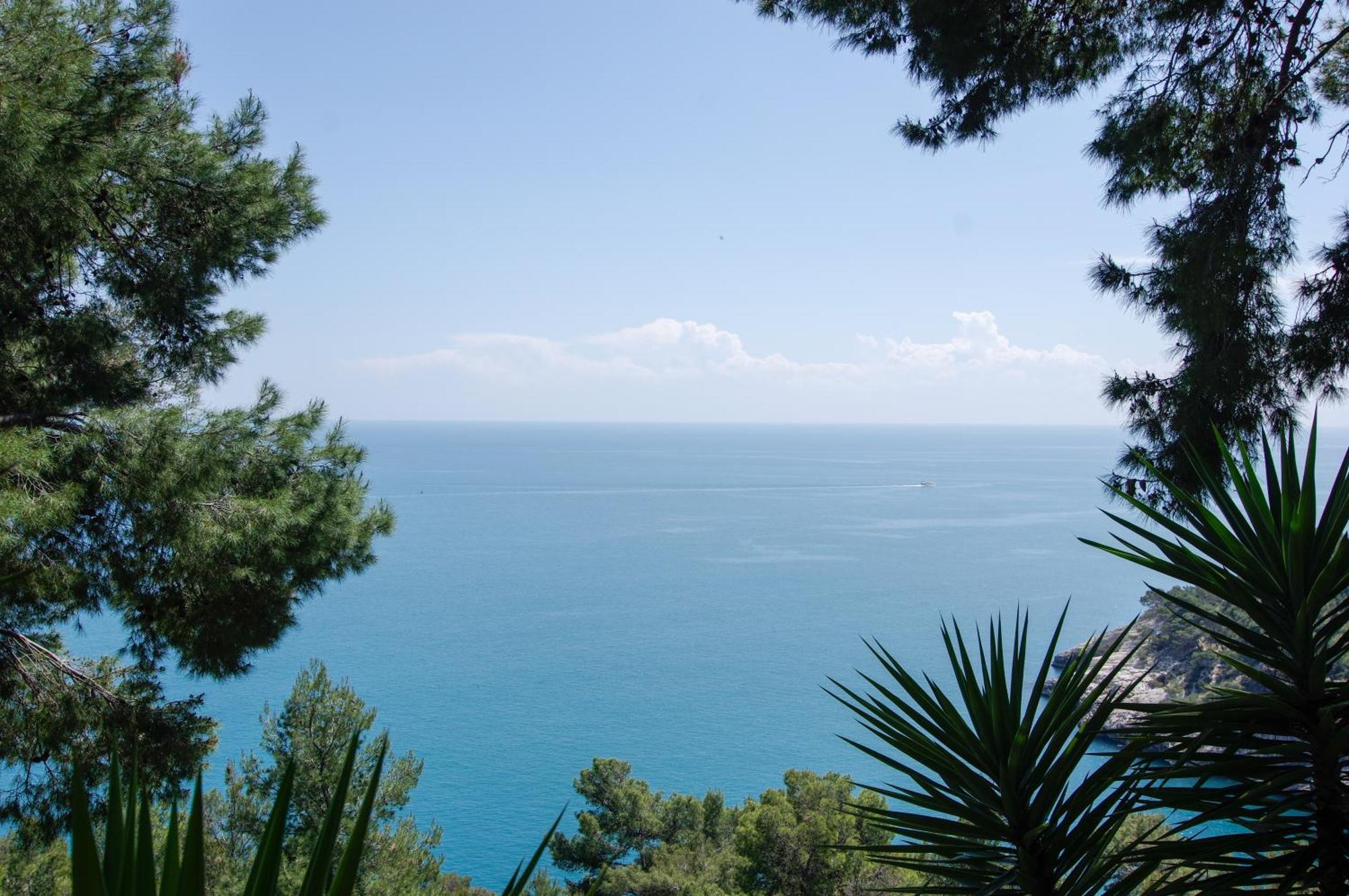 Nsm Carlotta E Guarda Che Mare Con Vista Panoramica * Pugnochiuso