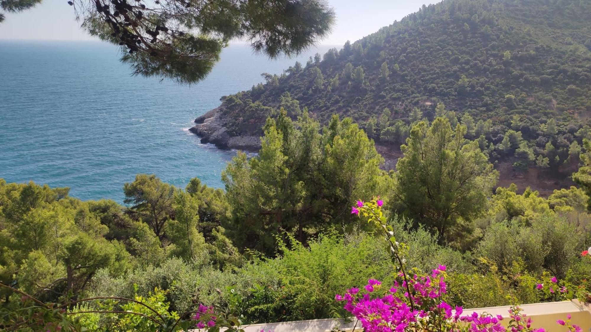 Nsm Carlotta E Guarda Che Mare Con Vista Panoramica * Pugnochiuso
