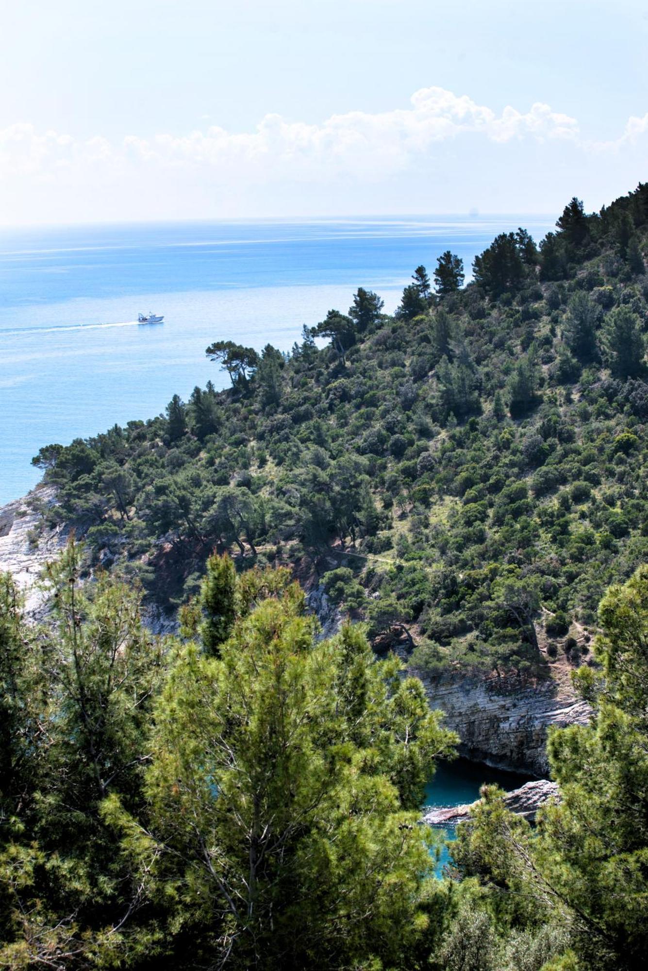 Nsm Carlotta & Guarda Che Mare Con Piscine Vista Mare