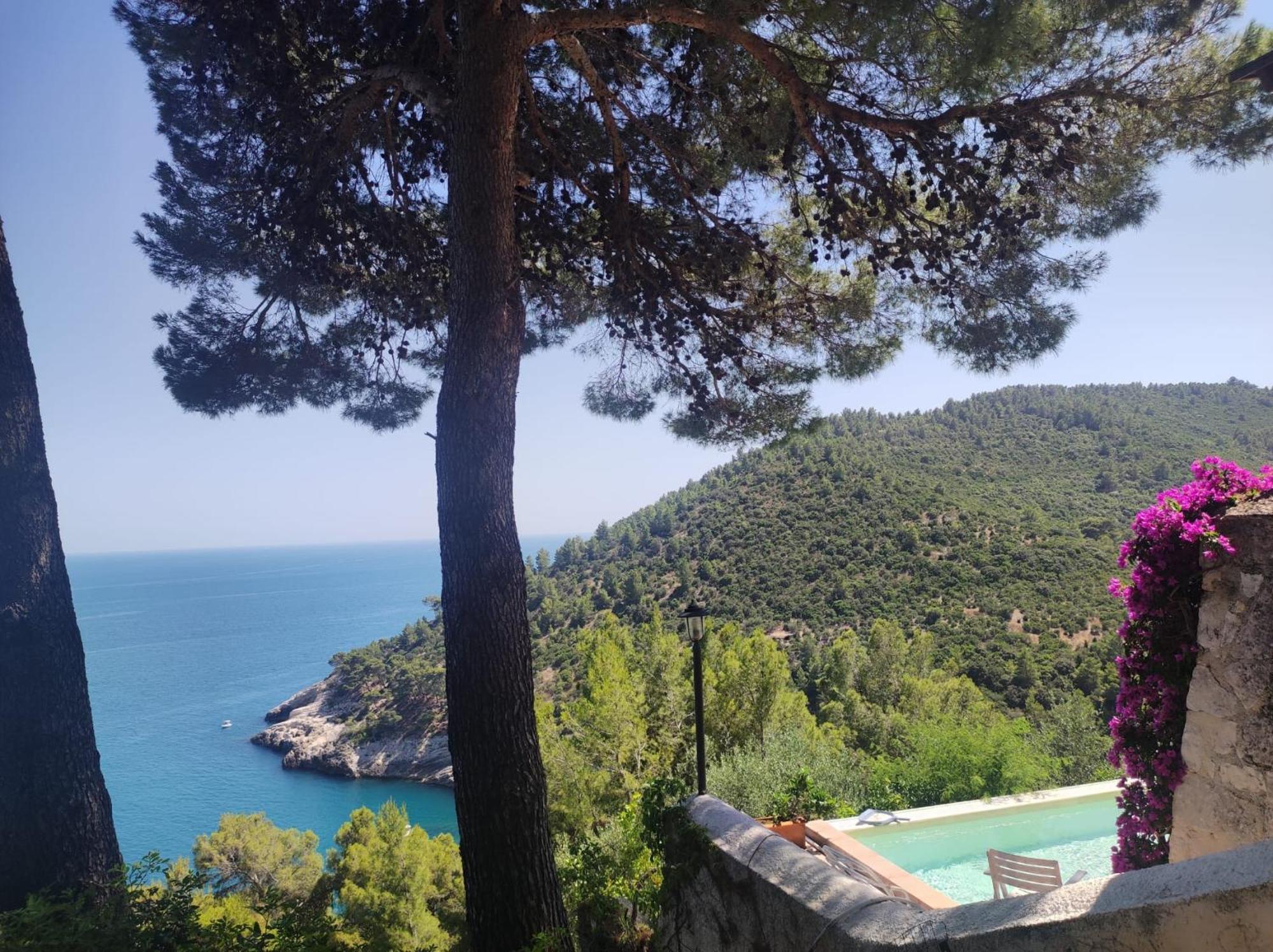 Villa Nsm Carlotta & Guarda Che Mare Con Piscine Vista Mare Pugnochiuso