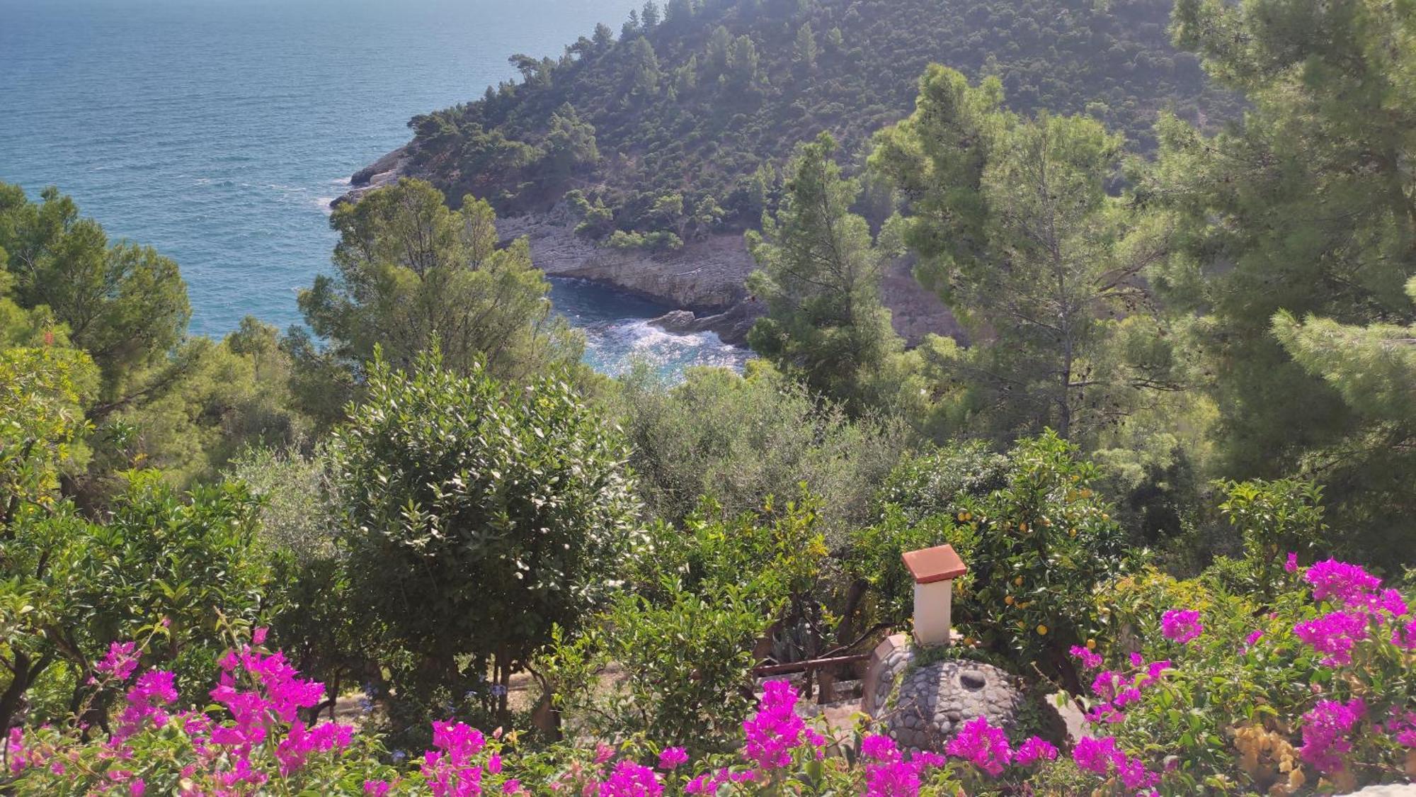Nsm Carlotta & Guarda Che Mare Con Piscine Vista Mare Villa Pugnochiuso