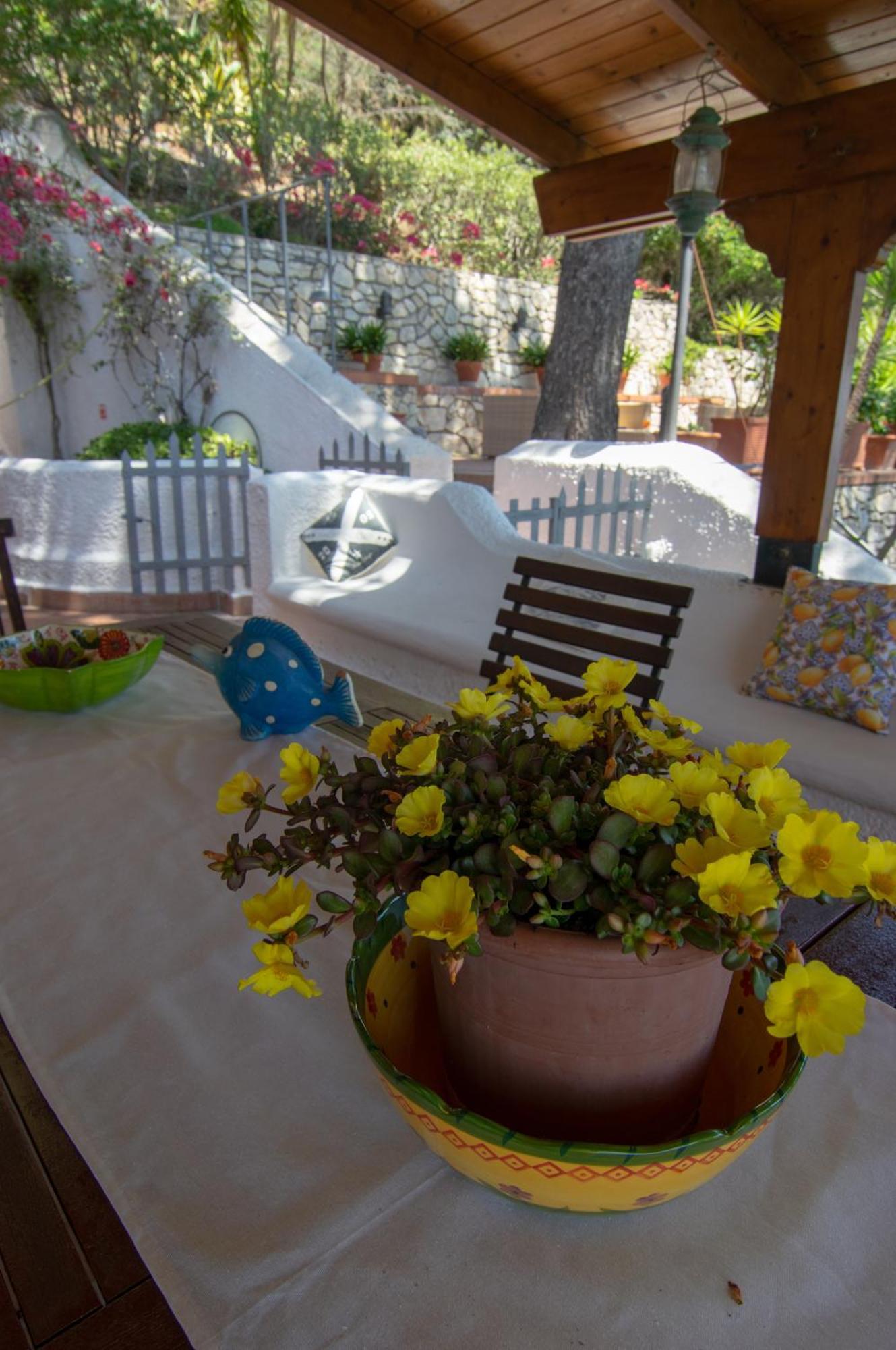 Nsm Carlotta & Guarda Che Mare Con Piscine Vista Mare Villa *