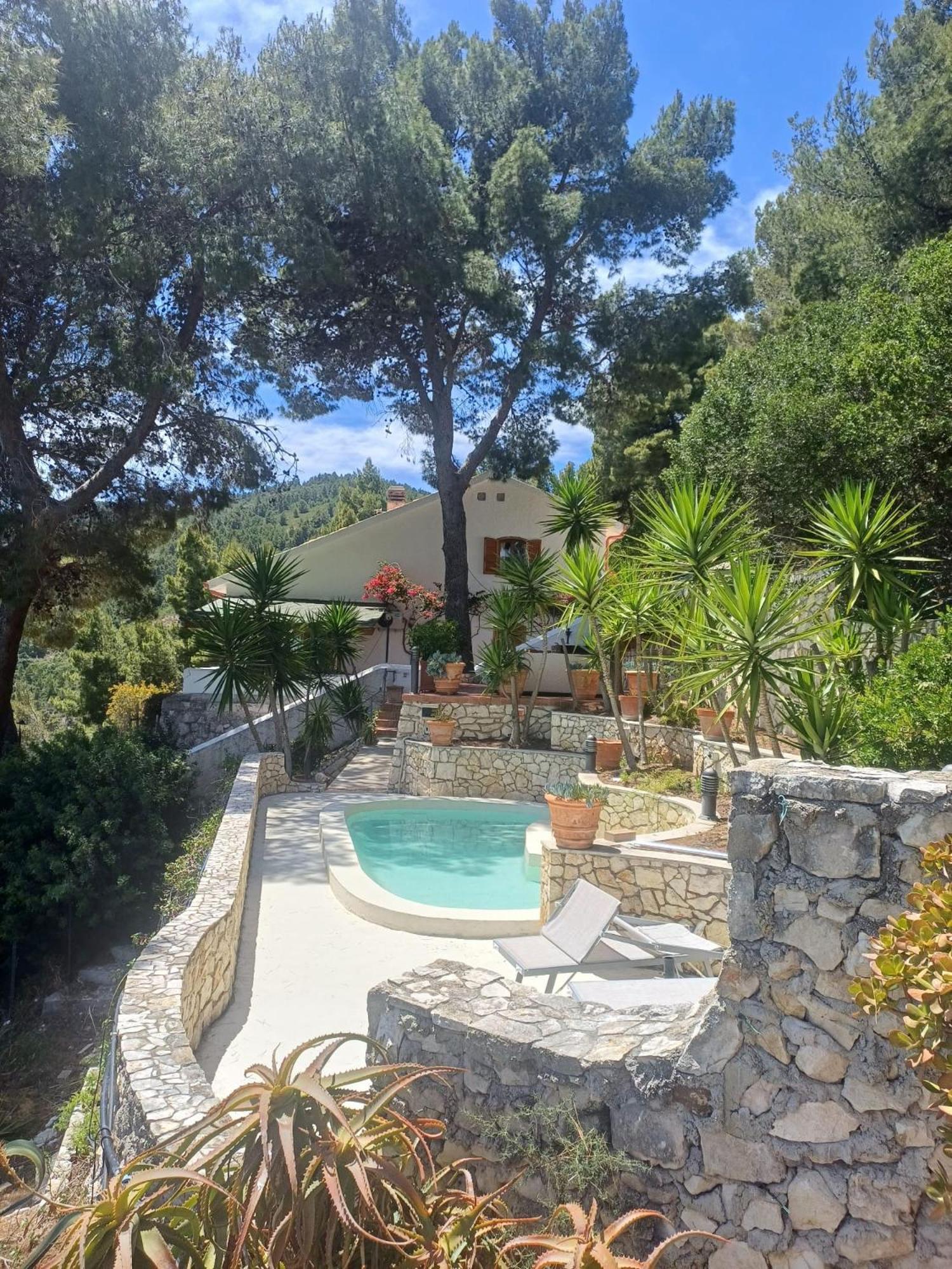 Nsm Carlotta & Guarda Che Mare Con Piscine Vista Mare Pugnochiuso